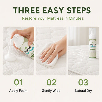 No-Rinse Mattress & Upholstery Foam Cleaner