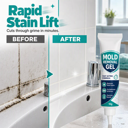 🏆 Last Day Special Price ! 🧼Buy 1 Get 1 Free🎁 Mold Remover Gel | Precision Bathroom & Kitchen Care